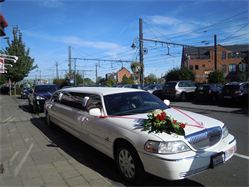 Limo Luxe