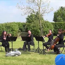 Diamond String Quartet