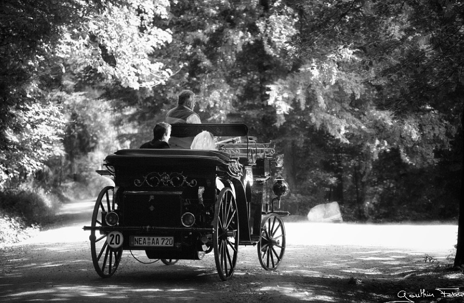 Nuptial Pictures