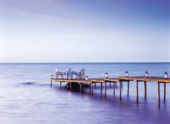 Amazing Honey Moon
