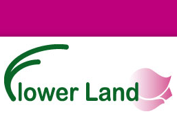 Flower Land
